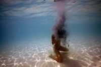 James Cooper 的水下摄影作品