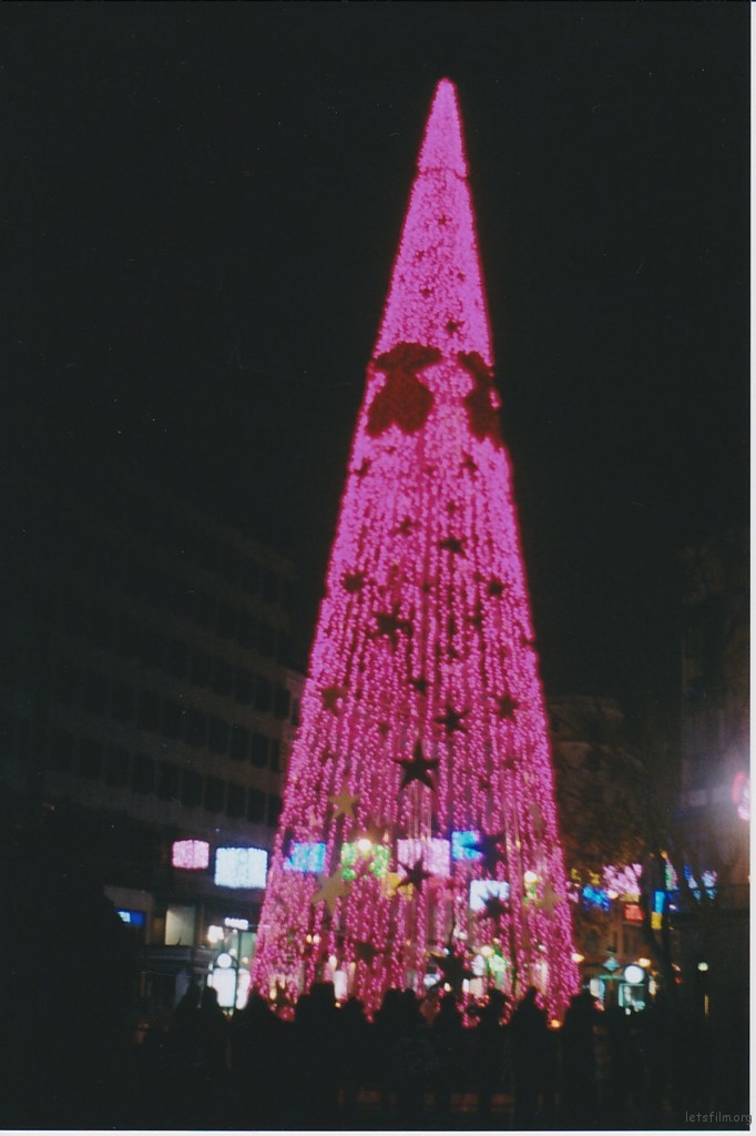 哥伦布广场上的TOUS圣诞树
