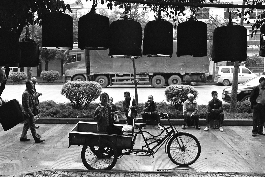 普洱鸟市中的少年