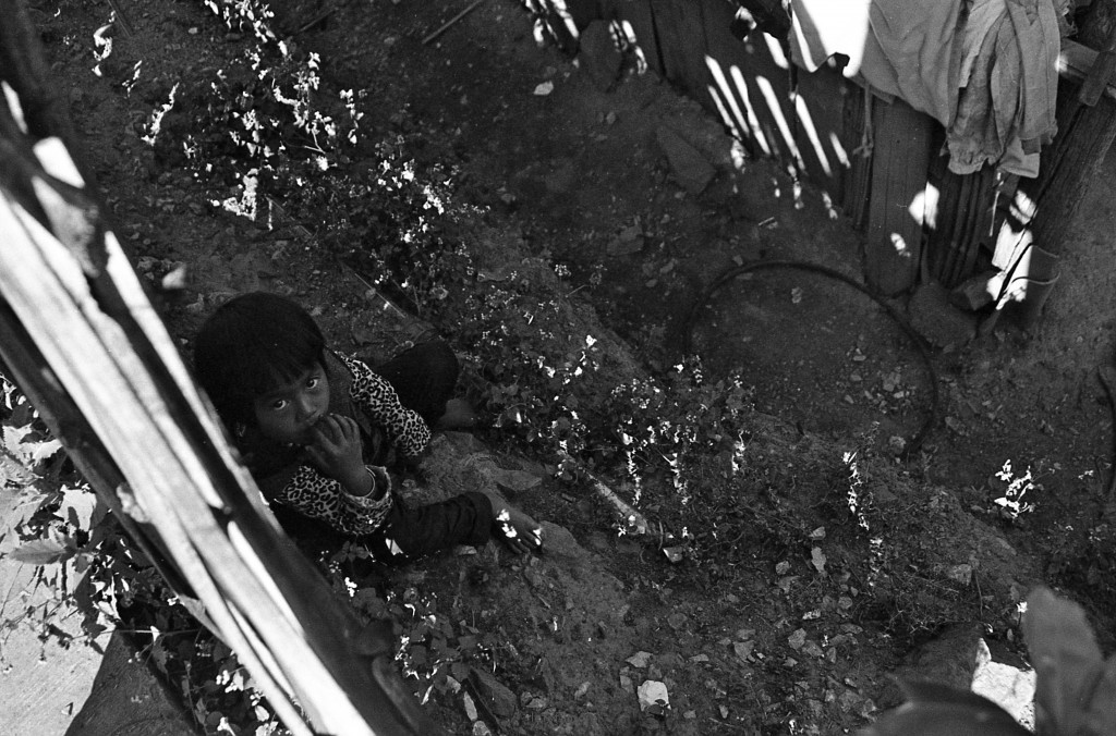 藏在篱笆后面的孩子