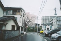 投稿作品No.1610 清新的日本街道和车站们