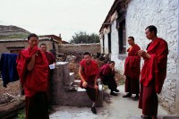 投稿作品No.2652 tibet 2005年