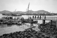 忆 珠海 · 香洲渔港 （下）