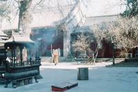 [7271] 去年冬天的北京