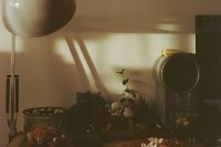 [8634] 夏日，余光，懒猫，老胶片