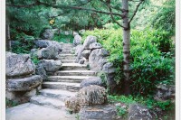 [9817] 古老的杉树林-植物园樱桃沟