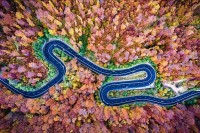 Dronestagram 评选 2016 年最佳航拍作品