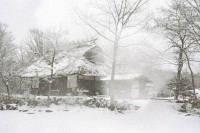 [11814] 到河口湖的时候下起了大雪，一朵雪花正好落在了镜头上