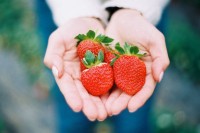 [12736] 一个草莓味的你