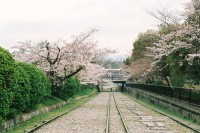 [12735] 在京都，我们一起等花开