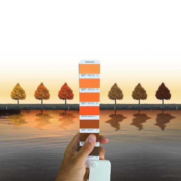 adaymag-designer-perfectly-matches-pantone-color-swatches-with-real-life-landscapes-11-600x600