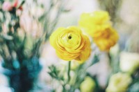 [13691] 那些花儿。