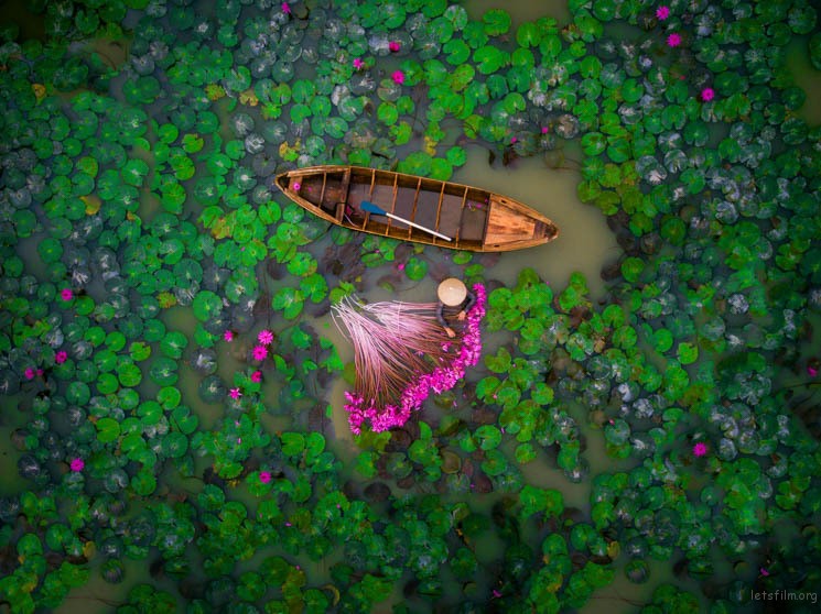 人物组第二名：Waterlily, Vietnam by helios1412