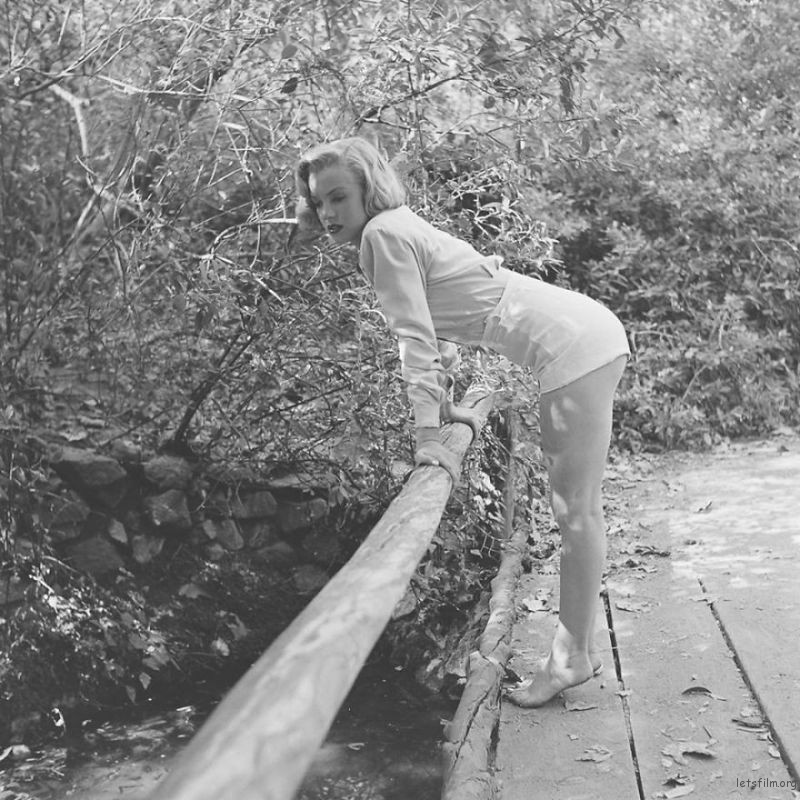 Marilyn-Monroe-rare-photos-in-the-woods-596b6f995e749__880