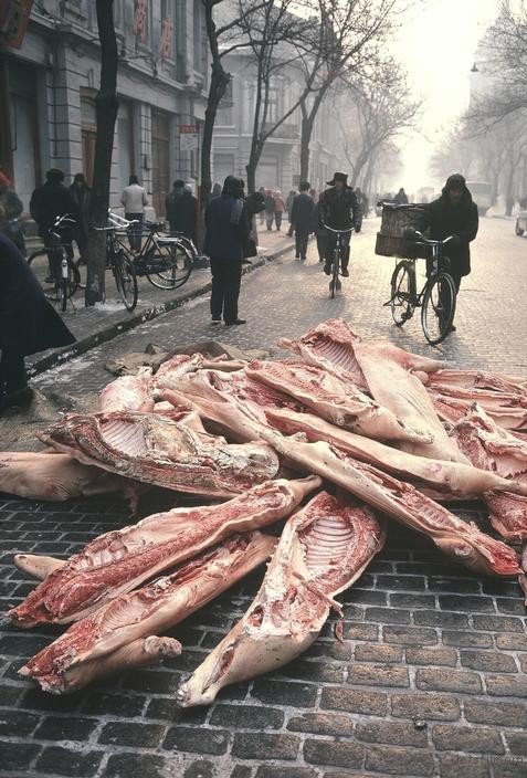 1981年，哈尔滨，肉店刚到货的猪肉