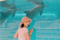 [14335] 老胡我们去看海豚啦！
