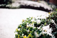 [16722] 上海初雪