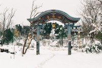 [17382] 今年一月，唐城的雪