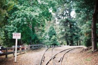 [18178] 一起去坐森林里的小火车吧