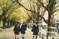 [19572] 东京最美是秋天