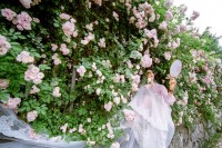 [20073] 汉服、婚纱与蔷薇