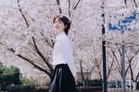 [20356] 鲁迅公园-四月的樱花