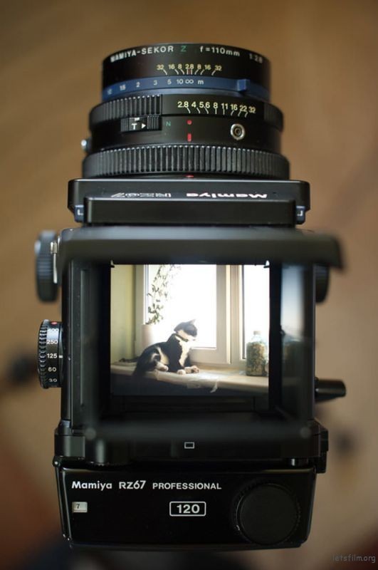 A-Very-Personal-Mamiya-RZ67-Pro-Review-638x960