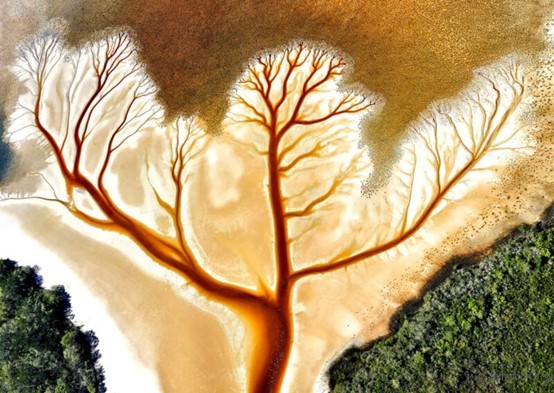 Professional, Gold, Nature – Aerial | © Stuart Chape, One Eyeland Photography Awards 2022