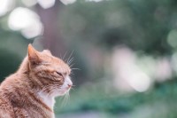 就像生活,虽然平淡,也还是得继续 就像生活,虽然平淡,也还是得继续