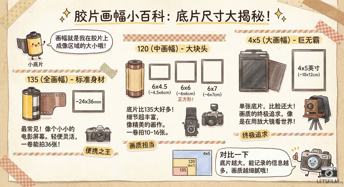 胶片摄影入门指南:关于 135 胶片相机,你需要了解的一切 | 胶片的味道 画幅