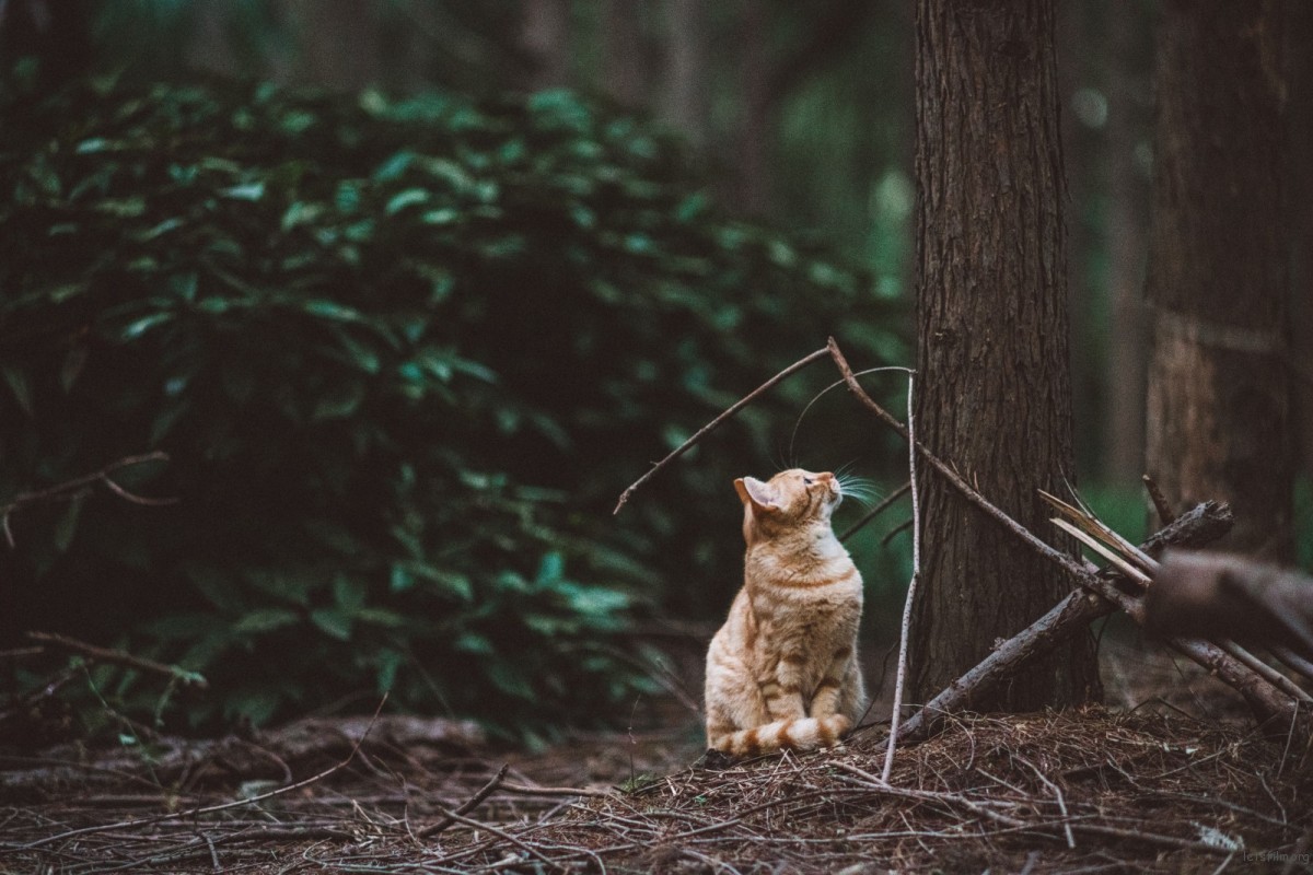 在公园发呆的20分钟,我原谅了这个世界 | 胶片的味道 batch_DSC05060