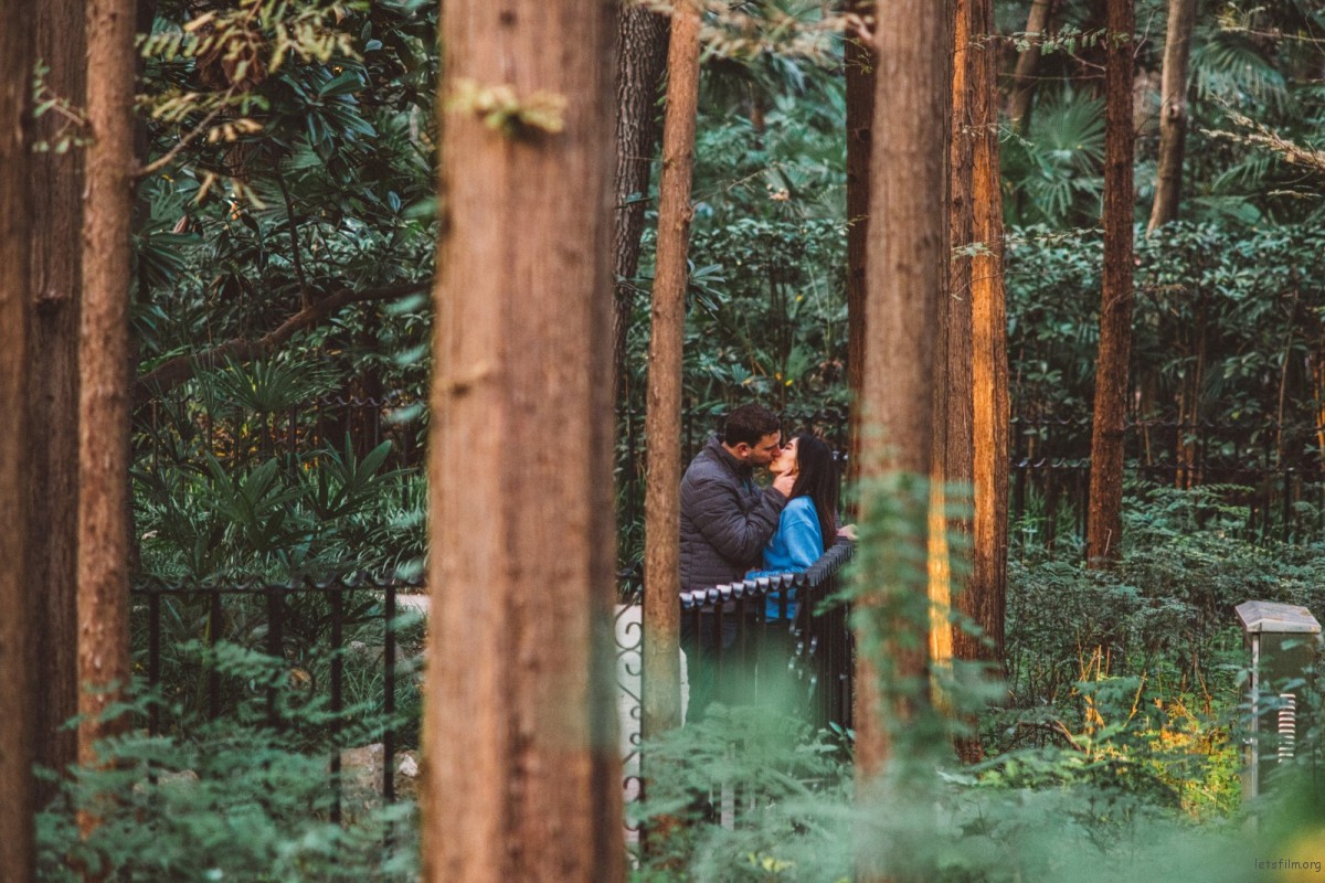 在公园发呆的20分钟,我原谅了这个世界 | 胶片的味道 batch_DSC05785