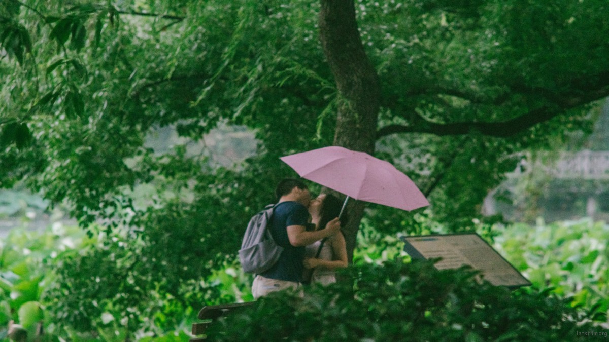 那个曾陪你撑伞走过长街的人,还在你的微信列表里吗? | 胶片的味道 图片 1