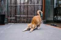 用快门，对抗遗忘