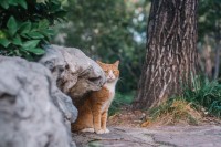 我把说不出口的话，全部按进了快门里