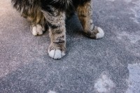 3种焦段，3种人生：你和世界之间，隔了几毫米？